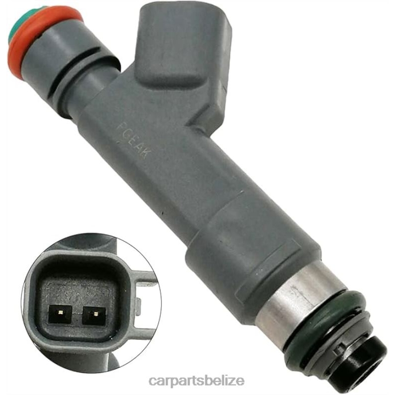 Auto Parts Belize - 12613163 Fuel Injecto 6B0FL207 CHEROLET&GM
