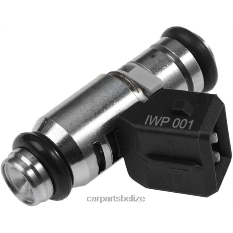 Car Parts Wholesale - iwp001 Fuel Injecto 6B0FL493 FIAT