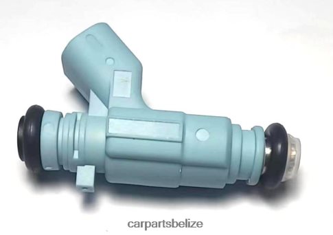 Car Parts Belize - Fuel Injector 0280156036 080JZD2333