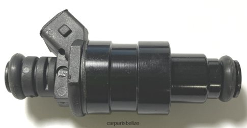 Car Parts Belize - Fuel Injector 10077514 080JZD2014