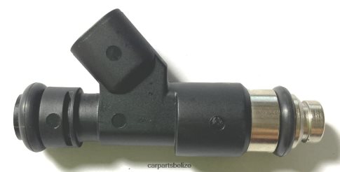 Car Parts Belize - Fuel Injector 12594512 2172436 080JZD2113