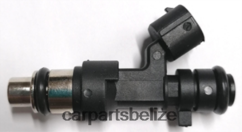 Car Parts Belize City - Fuel Injector 166009HP0A 080JZD1873 NISSAN