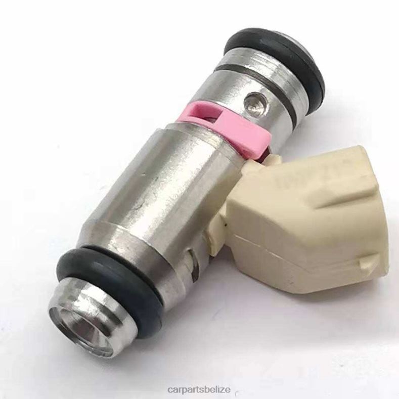 Car Parts Belize - iwp 210 Fuel Injecto 6B0FL561 PEUGEOT CITROEN