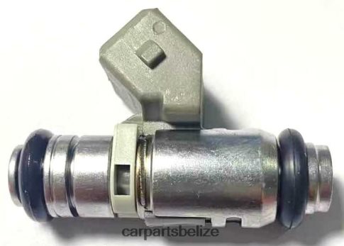 Auto Spare Parts Wholesale - Fuel Injector IWP179 080JZD1810 RENAULT