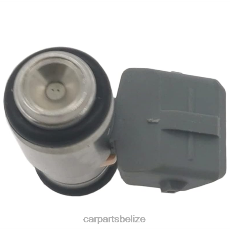 Car Parts Belize - IWP099 Fuel Injector for RENAULT 6B0FL705
