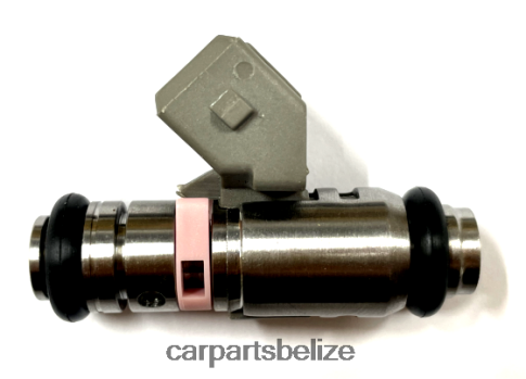 Car Parts Belmopan - Fuel Injector IWP099 805001388502 8200025248 080JZD1786 RENAULT