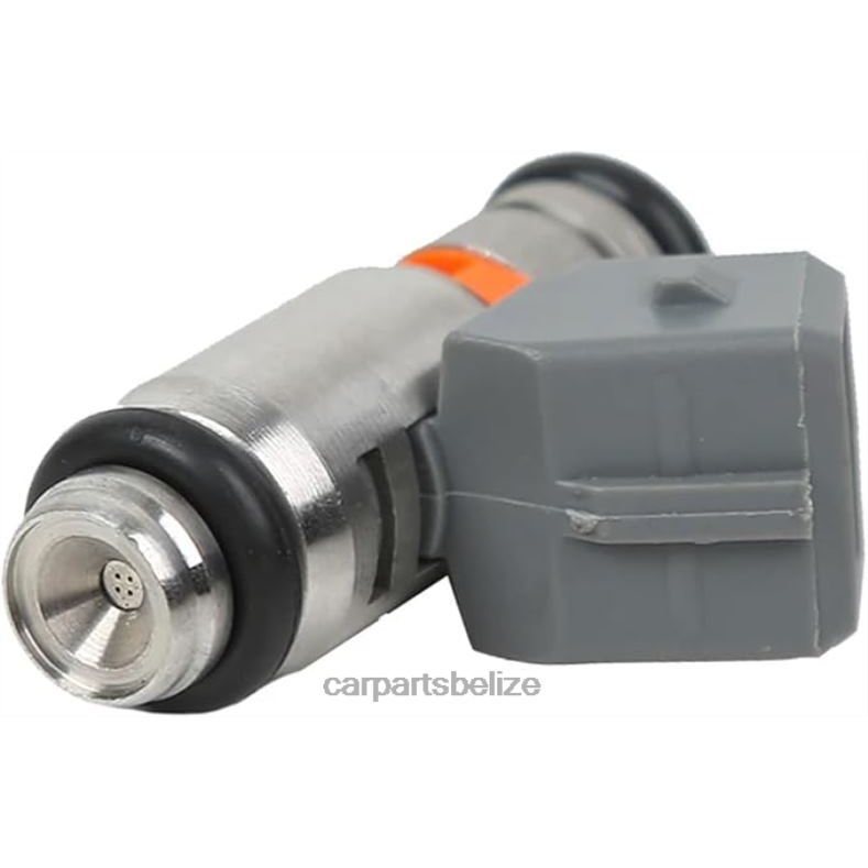 Auto Parts Belize City - IWP115 Fuel Injecto 6B0FL384 VW SKODA