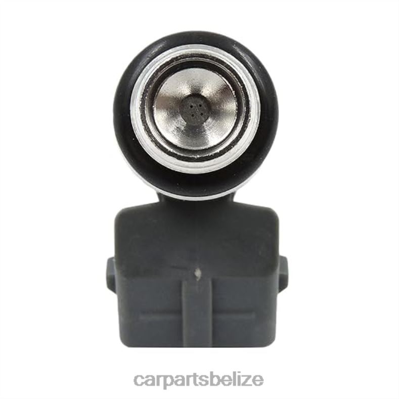 Car Parts Belize City - iwp044 50100802 Fuel Injecto 6B0FL331 VW SKODA