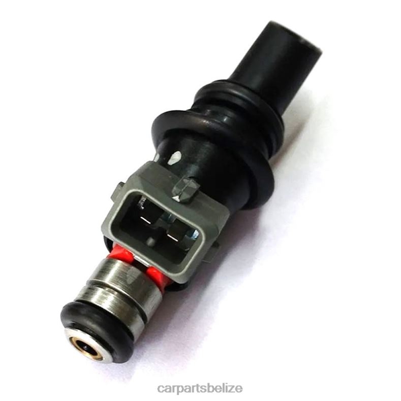 Car Parts Belize - WP176 Fuel Injecto 6B0FL385 VW SKODA