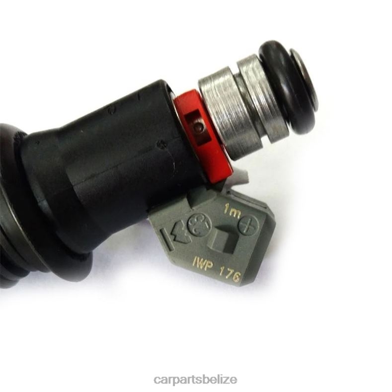 Car Parts Belize - WP176 Fuel Injecto 6B0FL385 VW SKODA