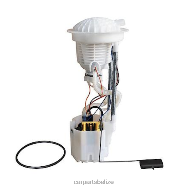 Auto Parts Belize - Fuel Pump Module E7180M E7182M E7186M P76260M for Dodge 6B0FL1023