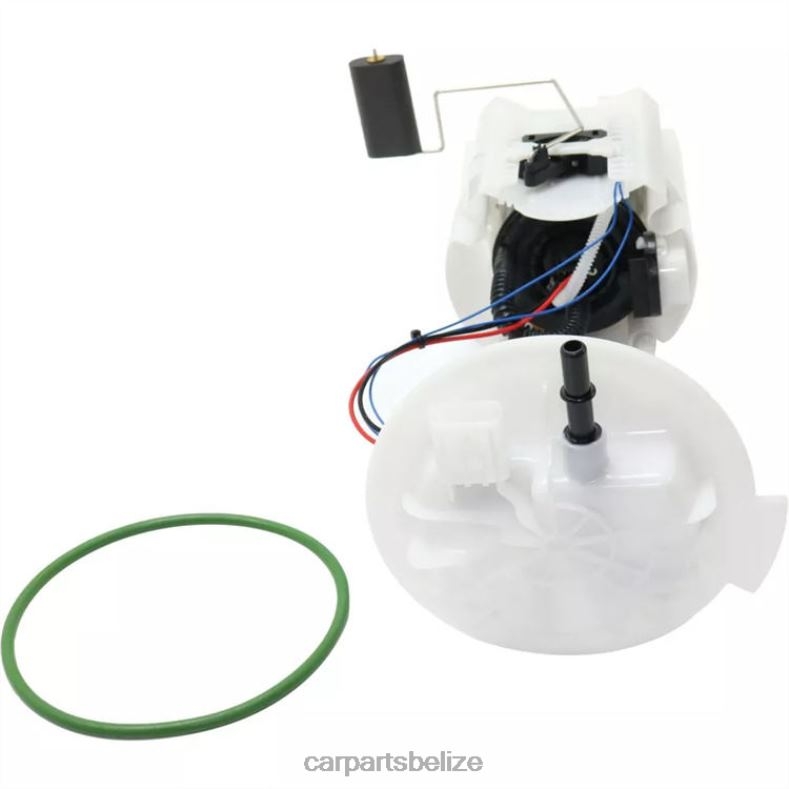 Auto Parts Belize - Fuel Pump Module E7216M 6B0FL1079