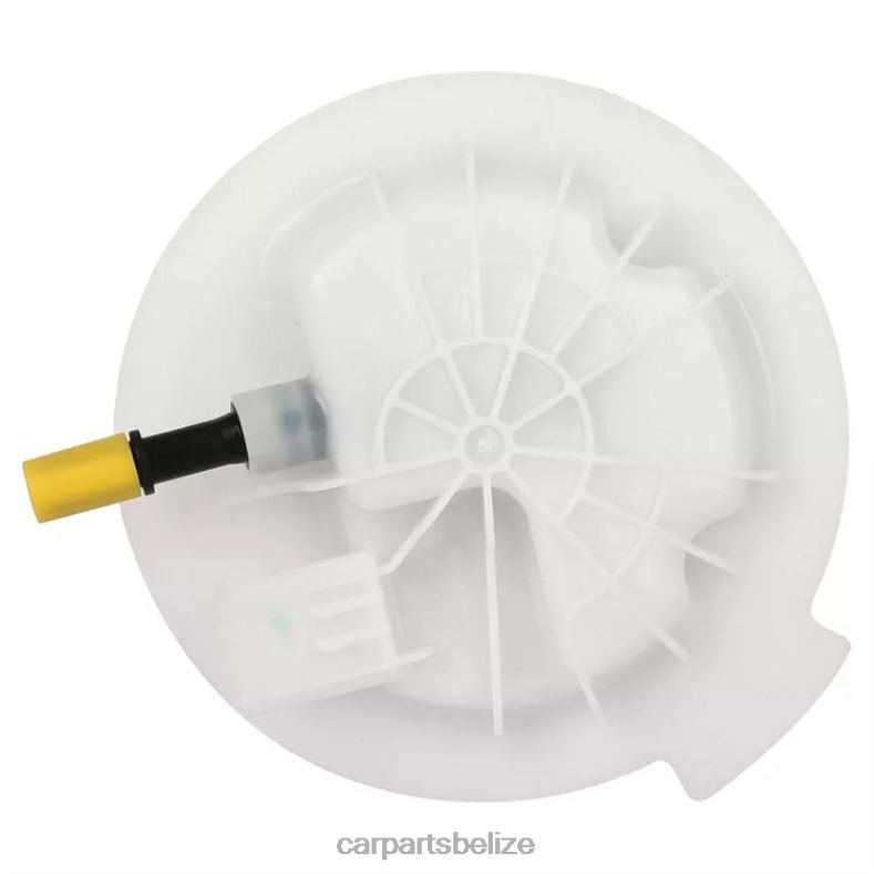 Car Parts Belize City - Fuel Pump Module E7245M SP7060M P76281M 68029546AB for Dodge 6B0FL1067