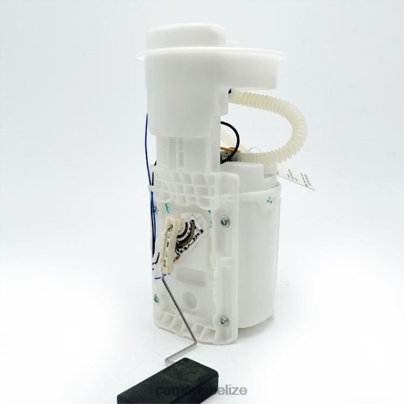 Auto Parts Belize City - Fuel Pump Module E8424M 1J0919051J 1J0919051B 405058005011Z for VW 6B0FL832