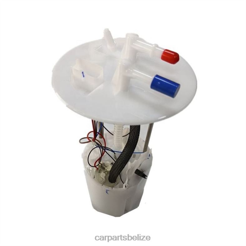 Auto Parts Belize City - Fuel Pump Module AB39-9H307-AD AB39-9H307-AC AB39-9H307-AB for Ford 6B0FL816