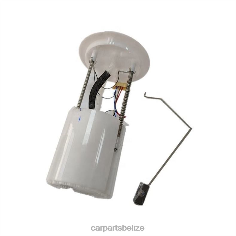 Auto Parts Belize City - Fuel Pump Module AB39-9H307-AD AB39-9H307-AC AB39-9H307-AB for Ford 6B0FL816