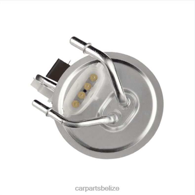 Auto Parts Belize - Fuel Pump Module E2147S SP2019H P74598S E9UZ9H307CA for Ford 6B0FL823