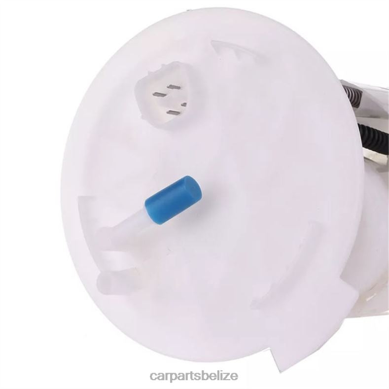 Auto Parts Belize - Fuel Pump Module E2459M FG1138 for Ford 6B0FL783