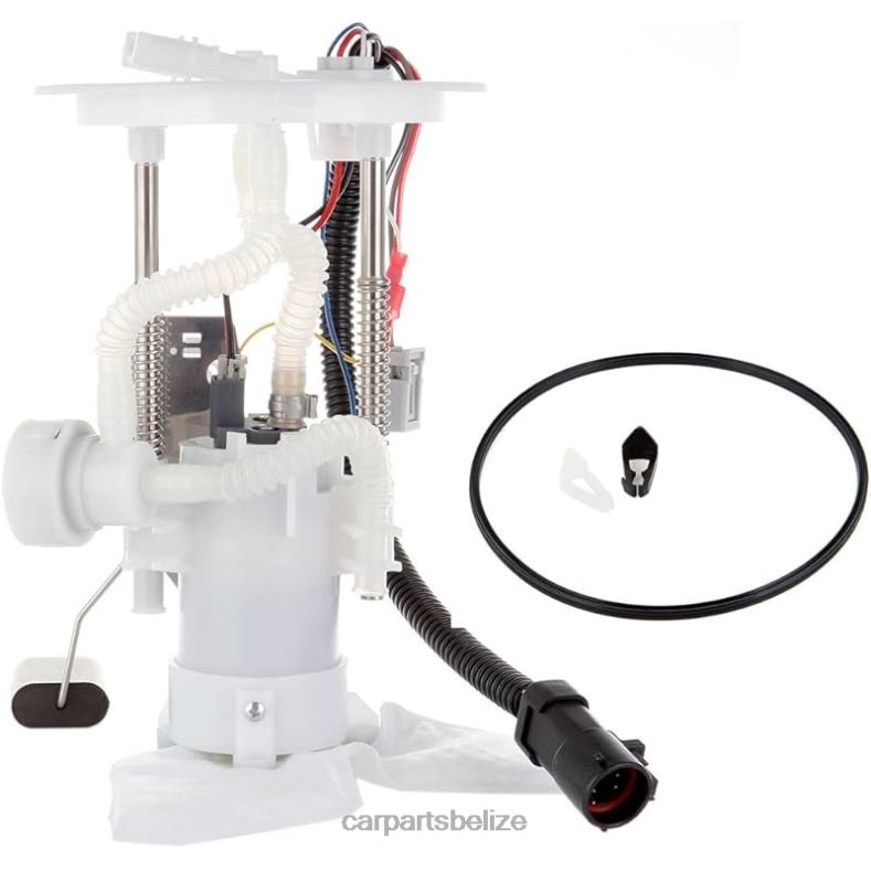 Auto Parts Wholesale - Fuel Pump Module E2352M P76170M FG0863 2L2Z9H307-GC for Ford 6B0FL750