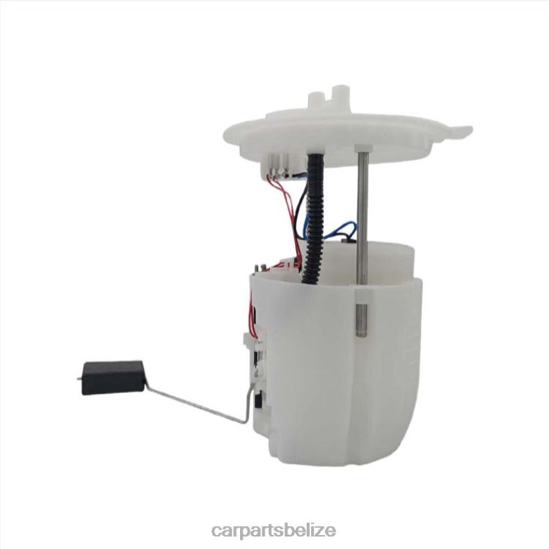 Auto Parts Wholesale - Fuel Pump Module E2458M FG1143 P76307M for Ford 6B0FL782