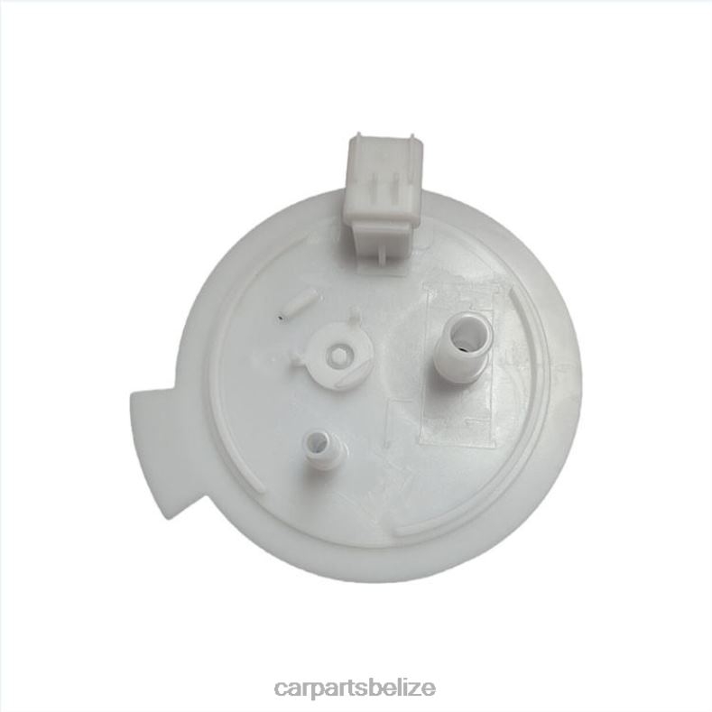 Car Parts Belize City - Fuel Pump Module E2523M SP2496M FG1319 P76463M 9L1Z9H307D 9L1Z-9H307-D for Ford 6B0FL819
