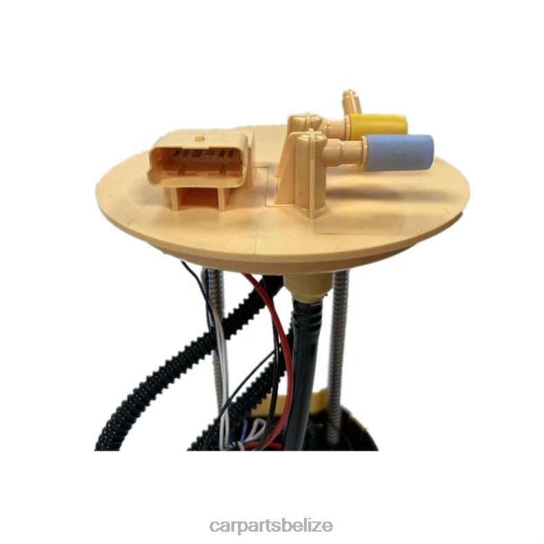 Car Parts Belize - Fuel Pump Module AB39-9H307-EC for Ford 6B0FL817