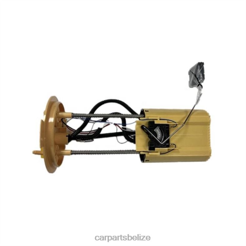 Car Parts Belize - Fuel Pump Module AB39-9H307-EC for Ford 6B0FL817