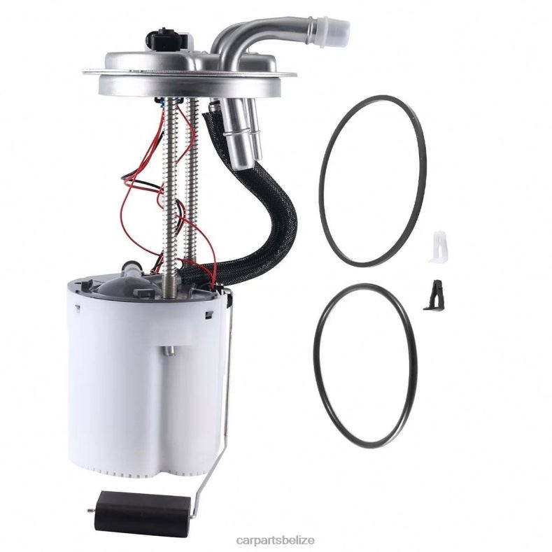 Auto Parts Belize City - Fuel Pump Module E3765M SP6050M FG1153 P76299M for GM 6B0FL952