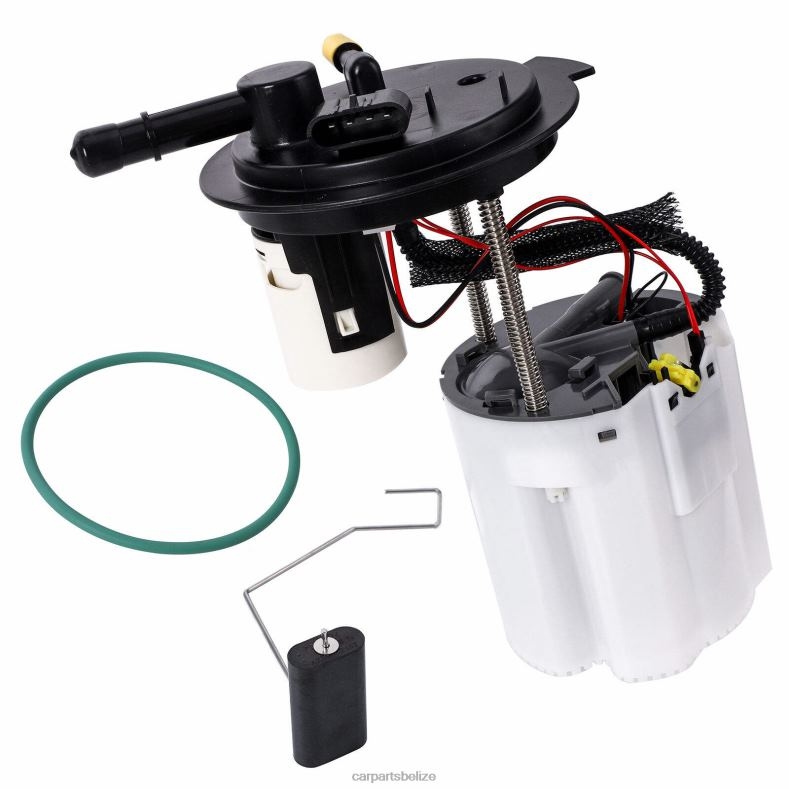 Auto Parts Belize City - Fuel Pump Module E3790M FG1371 P76830M 23491260 22833390 for GM 6B0FL944