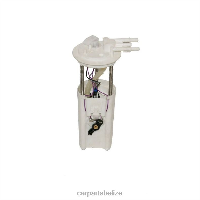 Auto Parts Belize City - Fuel Pump Module E3912M FG0008 19153727 25029709 for GM 6B0FL896