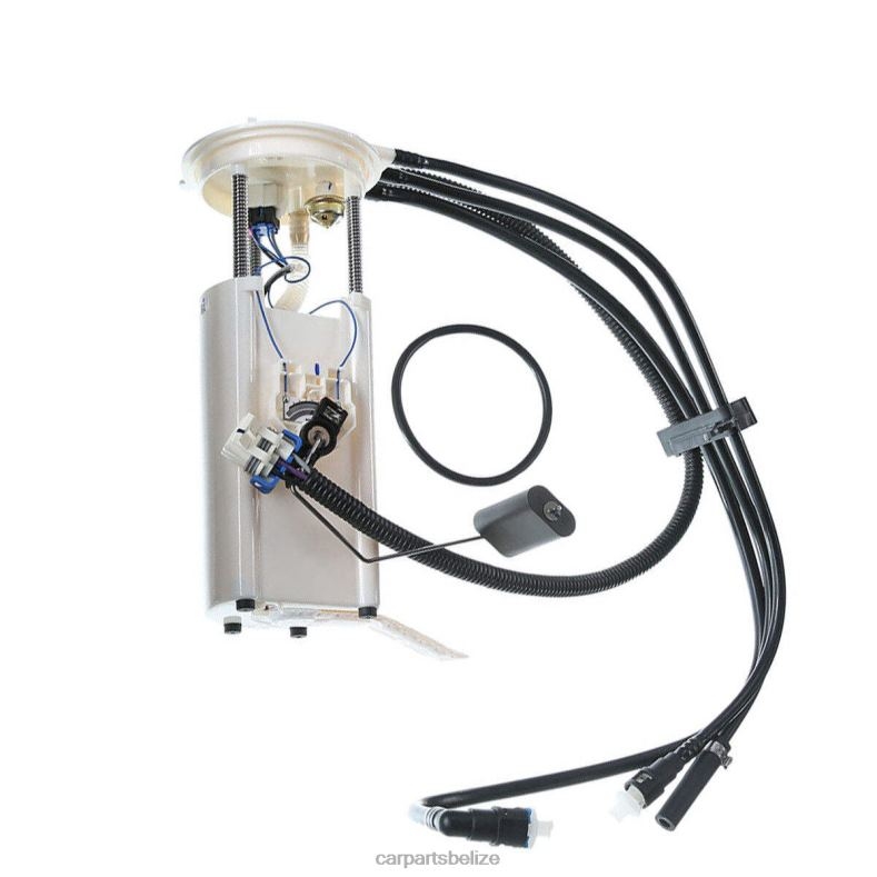 Auto Parts Belize City - Fuel Pump Module E3918M FG0162 FG0170 P74826M for GM 6B0FL904