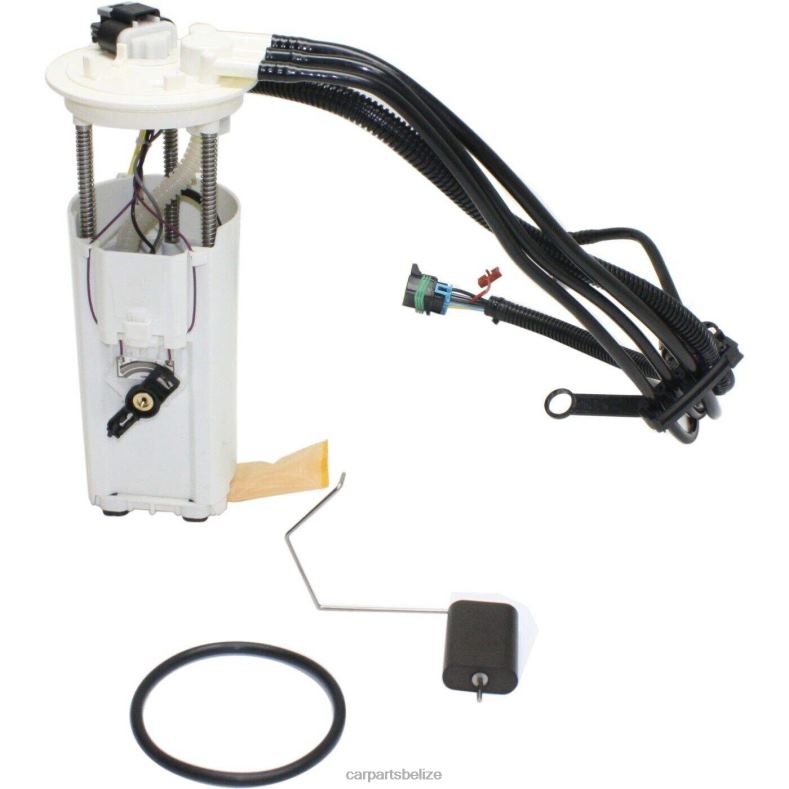Auto Parts Belize City - Fuel Pump Module E3918M FG0162 FG0170 P74826M for GM 6B0FL904