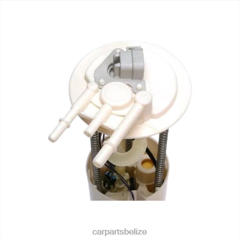 Auto Parts Belize - Fuel Pump Module E3927M FG0024 P74741M for GM 6B0FL895