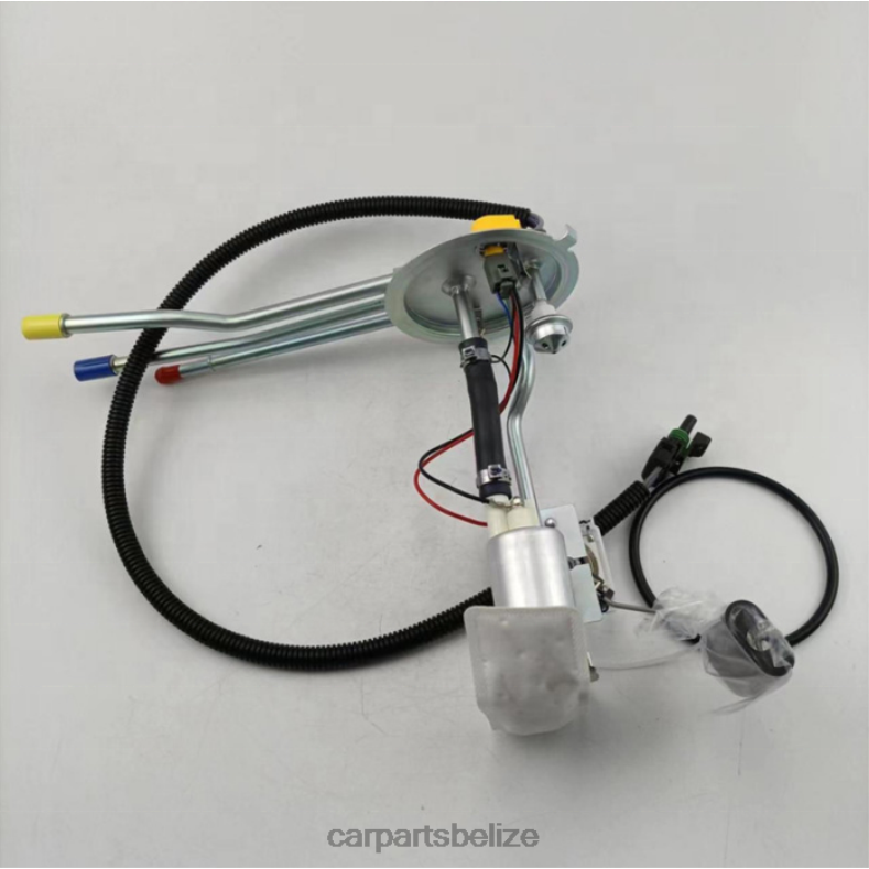 Auto Parts Belize - Fuel Pump Module SP10H1H P77385H for GM 6B0FL999