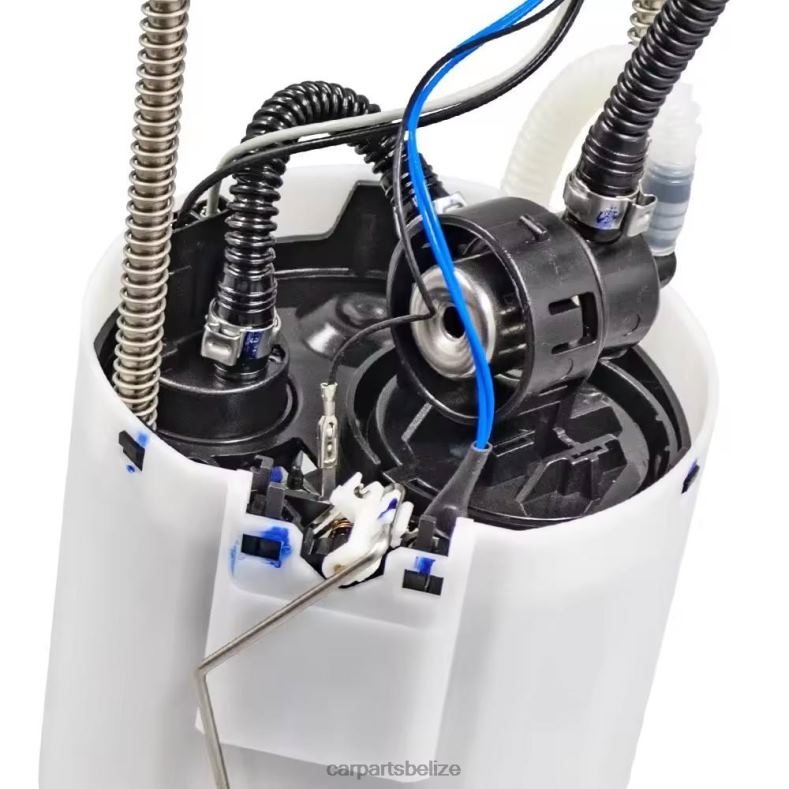 Car Parts Belize City - Fuel Pump Module E3747M FG1058 P76298M for GM 6B0FL931