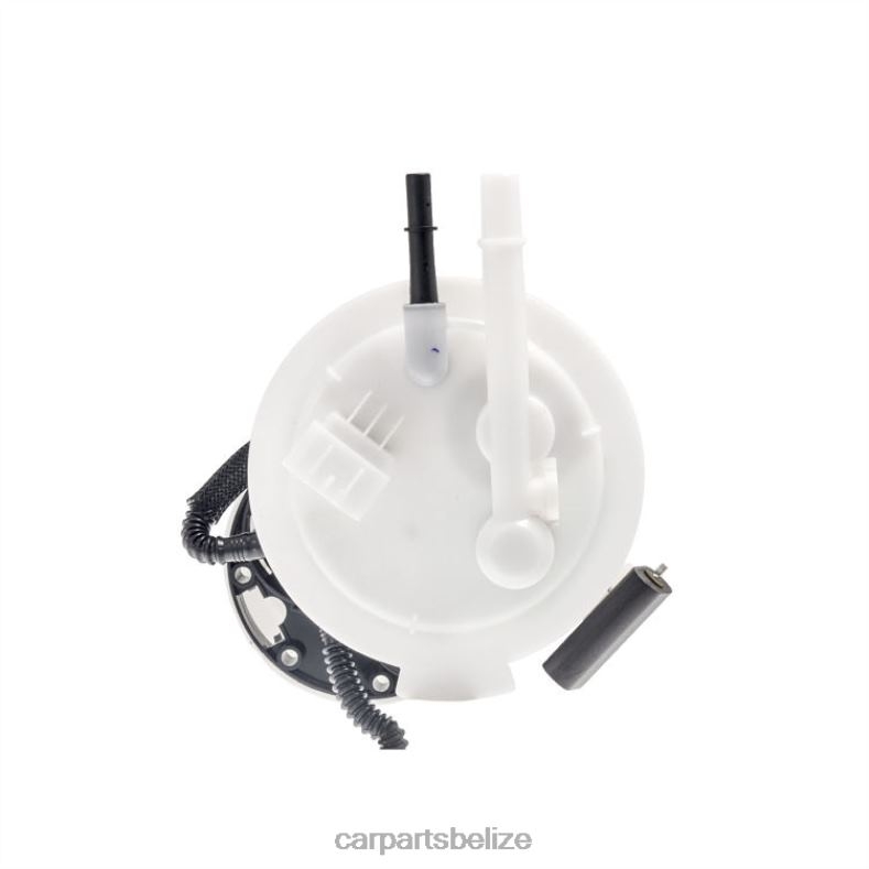 Car Parts Belize City - Fuel Pump Module E3749M FG1509 FG1510 P76279M SP6693M 19179824 19257914 M100049 M10179 for GM 6B0FL979