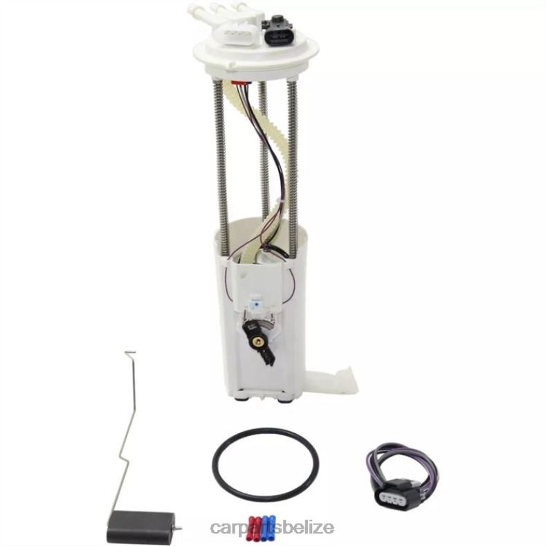 Car Parts Belize City - Fuel Pump Module E3923M FG0027 P74717M 19179984 for GM 6B0FL923