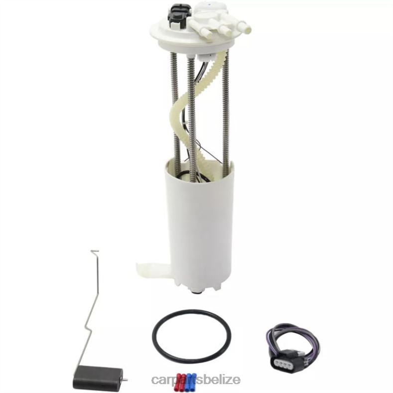 Car Parts Belize City - Fuel Pump Module E3923M FG0027 P74717M 19179984 for GM 6B0FL923