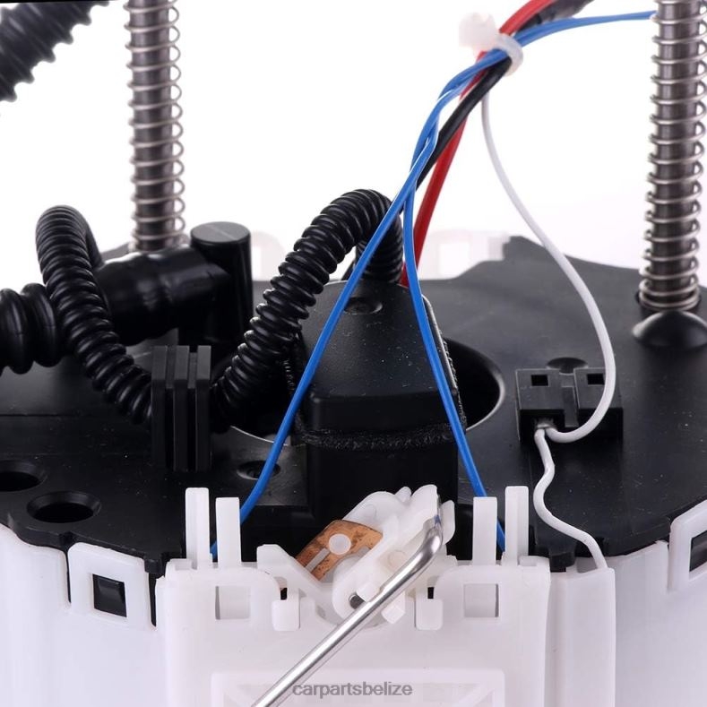 Car Parts Online - Fuel Pump Module E4065M FG2031 SP4077M for GM 6B0FL1002