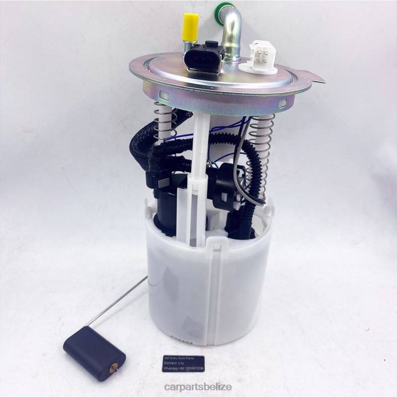 Car Parts Wholesale - Fuel Pump Module E3707M E3769M MU1701 MU1655 MU1397 for GM 6B0FL933