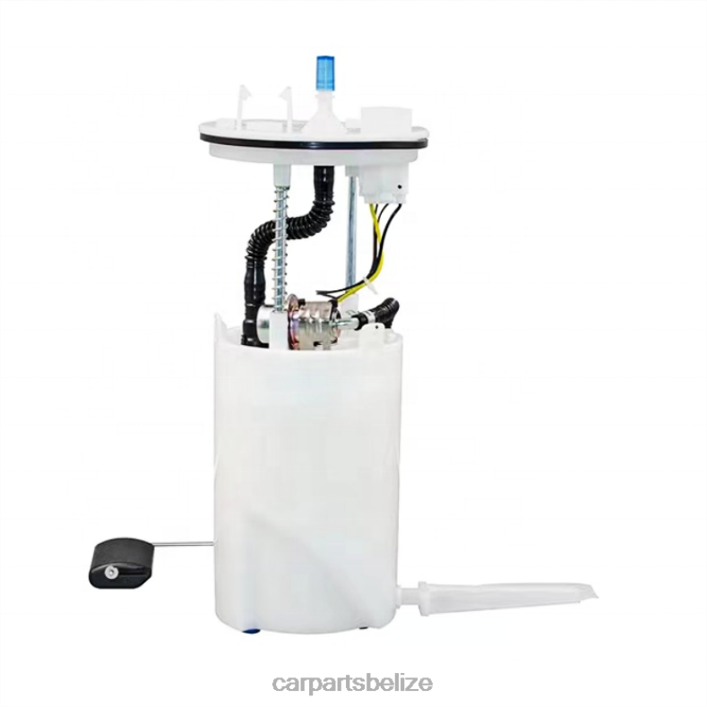 Auto Parts Belize City - Fuel Pump Module 31110-D3100 for HYUNDAI 6B0FL1120