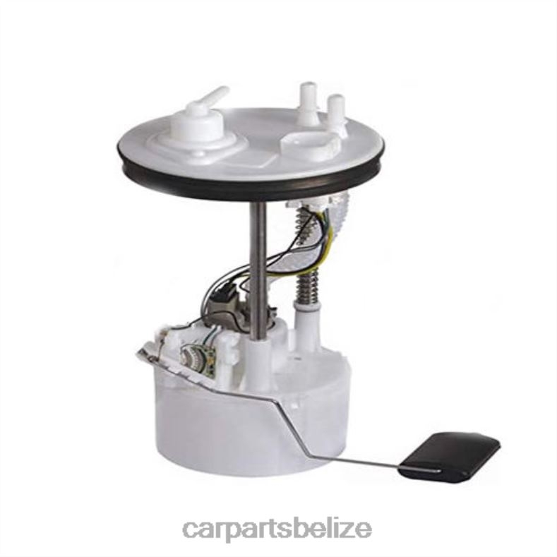 Auto Parts Belize City - Fuel Pump Module E10613M 31110-02000 31110-05000 for HYUNDAI 6B0FL1096