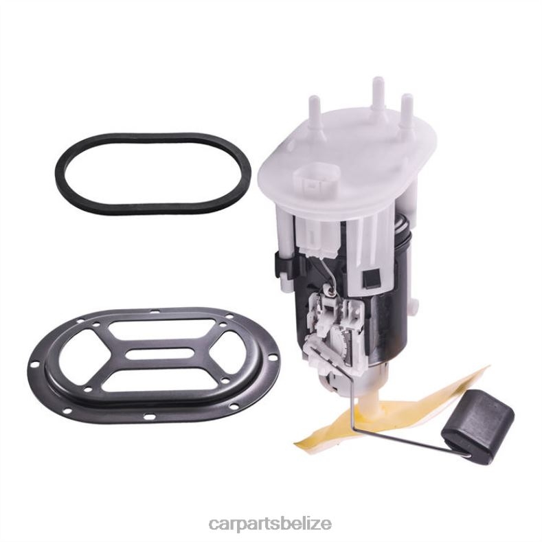 Auto Parts Belize - Fuel Pump Module 31120-H9000 for KIA 6B0FL1135