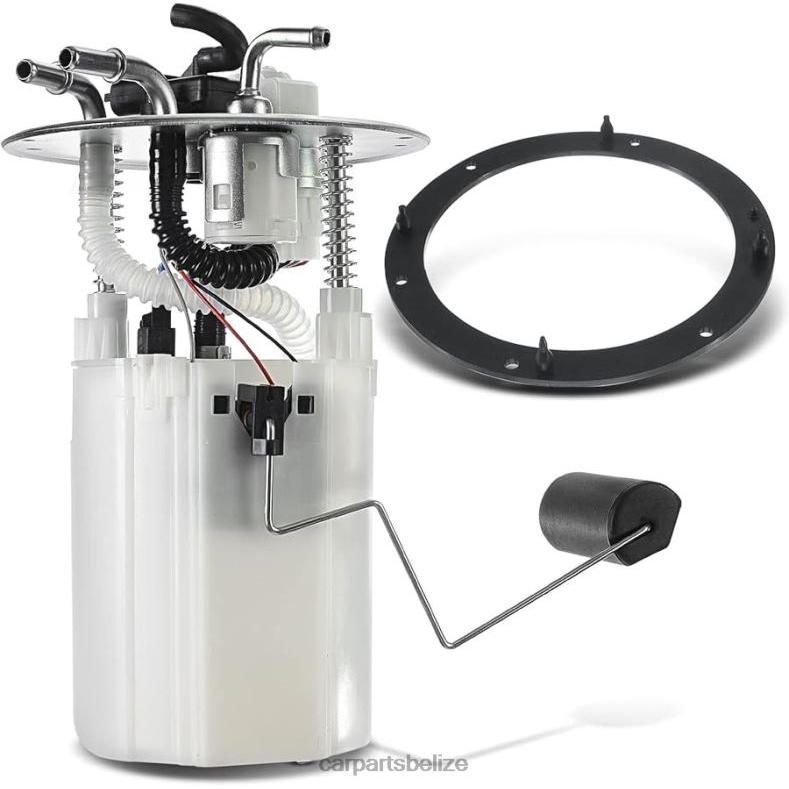 Auto Parts Wholesale - Fuel Pump Module E8663M SP3015M P76405M FG1258 for HYUNDAI 6B0FL1134
