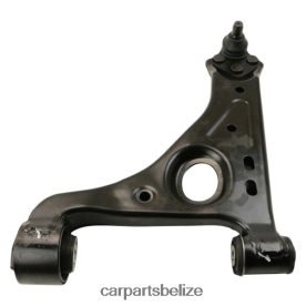 Car Parts Belmopan - Buick Control Arm 95328050 D2NN421707
