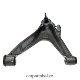 Auto Parts Belize - Chevrolet Control Arm 20799881 D2NN421299