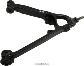 Auto Parts Belize City - Chevrolet Control Arm 20869200 D2NN42234
