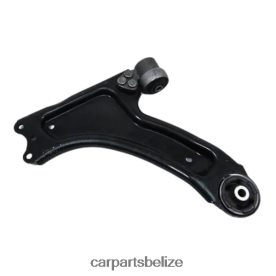 Auto Parts Wholesale - Chevrolet Control Arm 93368868 D2NN421766