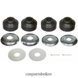 Automobile Spare Parts Wholesaler - Dodge Control Arm Trailing Bushing 4037660 D2NN422998