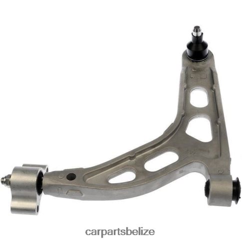 Automobile Spare Parts Wholesaler - Control Arm Trailing Bushing 1L2Z-5500AC 080JZD1383 FORD